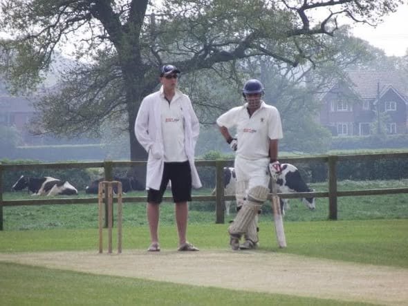 Match day at The Gorse Croft — batsman and teammate by the sight screen with the cows looking on